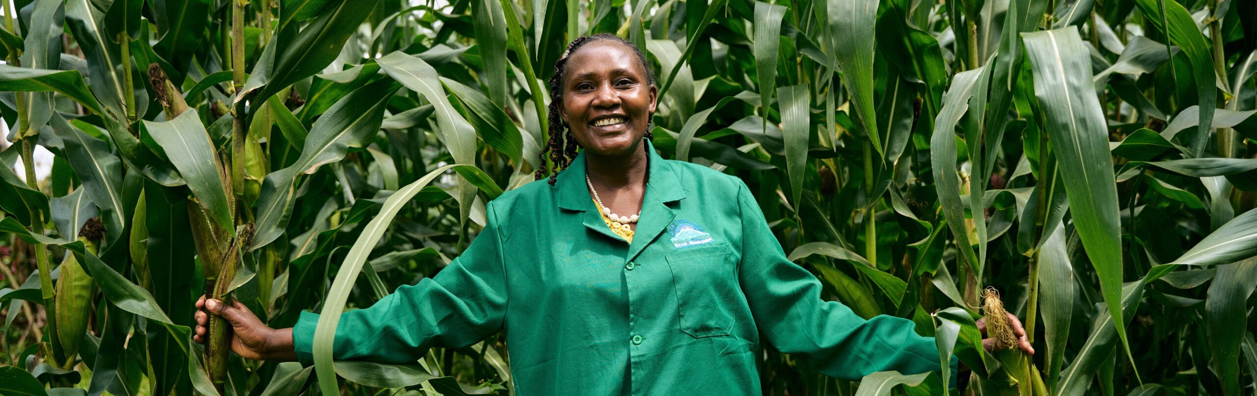 Kooperativ We-effect